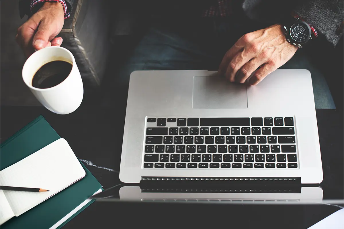 freelancer web tasarımcı